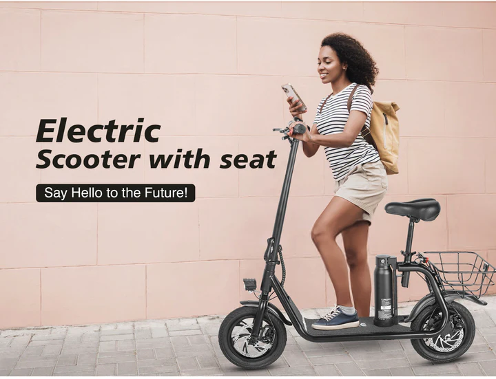 SM-C01 250W Foldable Electric Scooter