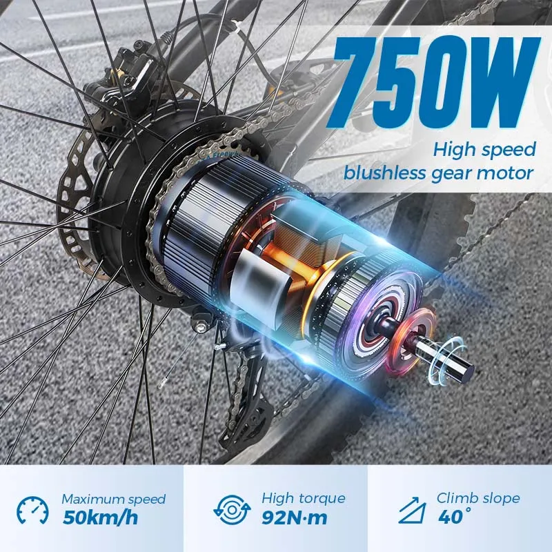 ChamRider DH420 E-Bike