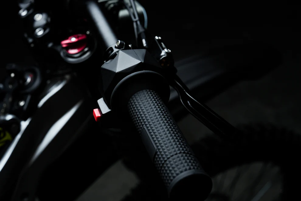 79BIKE-Falcon Pro