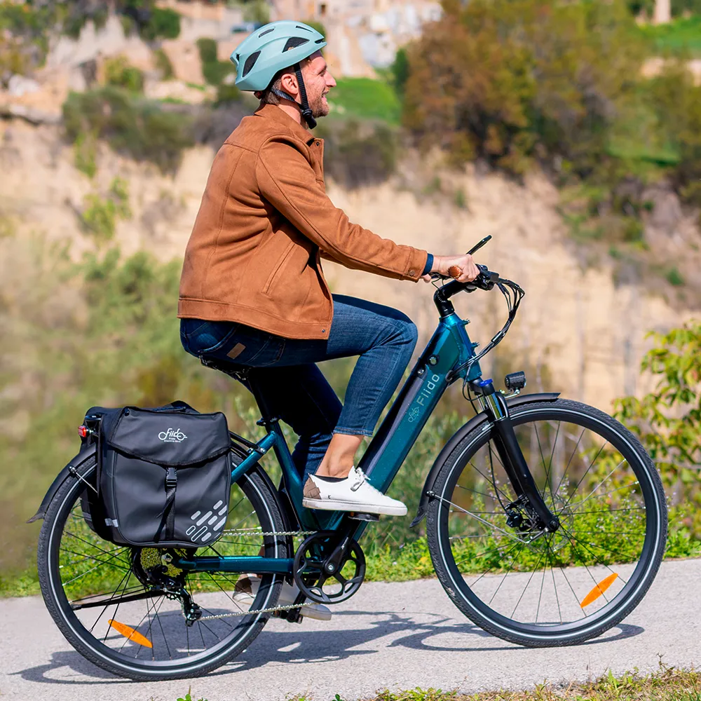 Fiido C11 Pro City E-Bike
