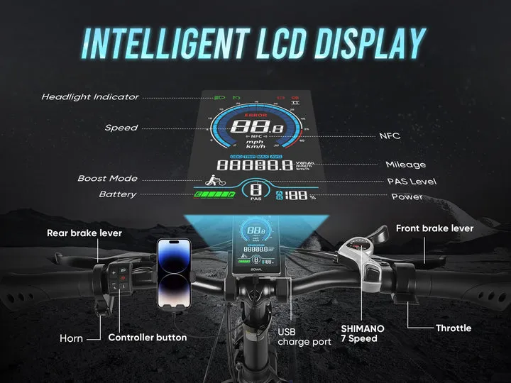LOTDM200-II Fat Tire Off Road E-bike