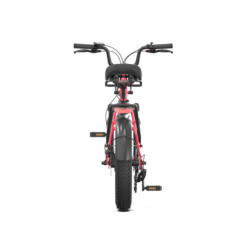 PVY LS20 – 250W Fat Tire Electric Bike