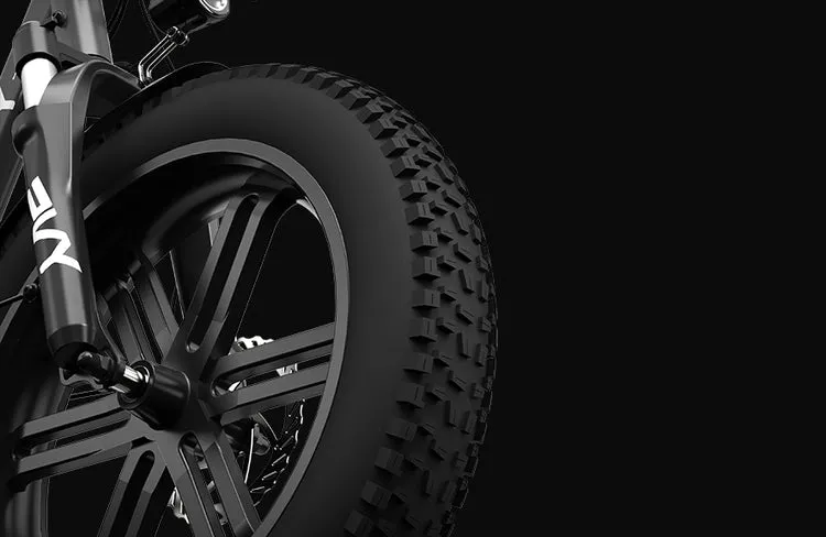 PVY LS20 – 250W Fat Tire Electric Bike