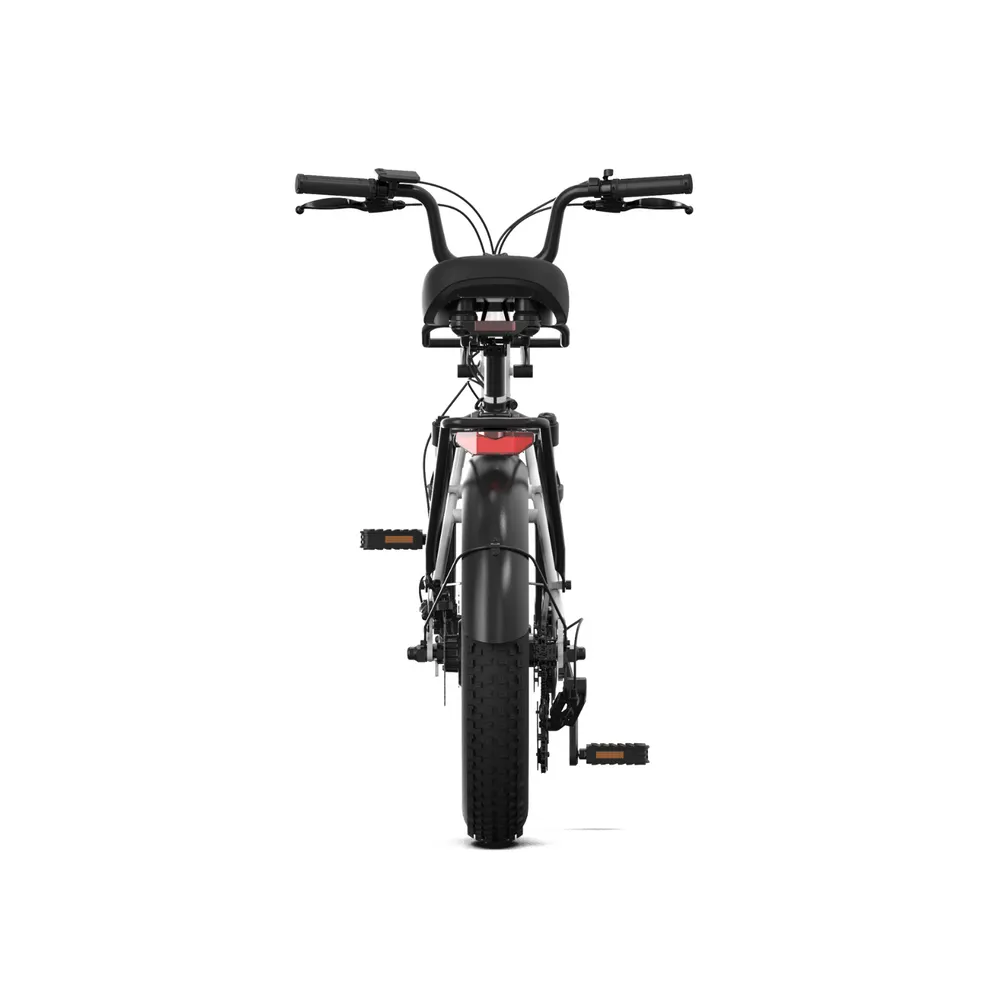 PVY LS20 – 250W Fat Tire Electric Bike