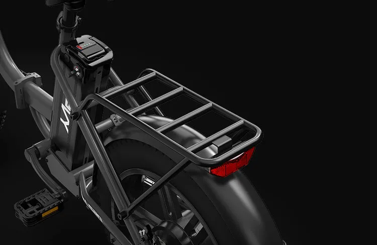 PVY LS20 – 250W Fat Tire Electric Bike