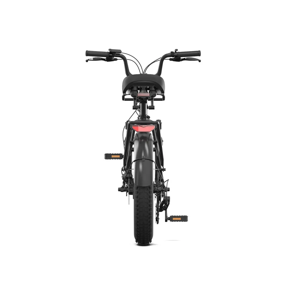 PVY LS20 – 250W Fat Tire Electric Bike