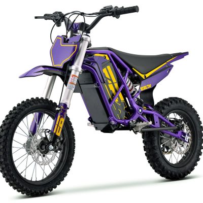 Ebox V3 60R Purple/Gold